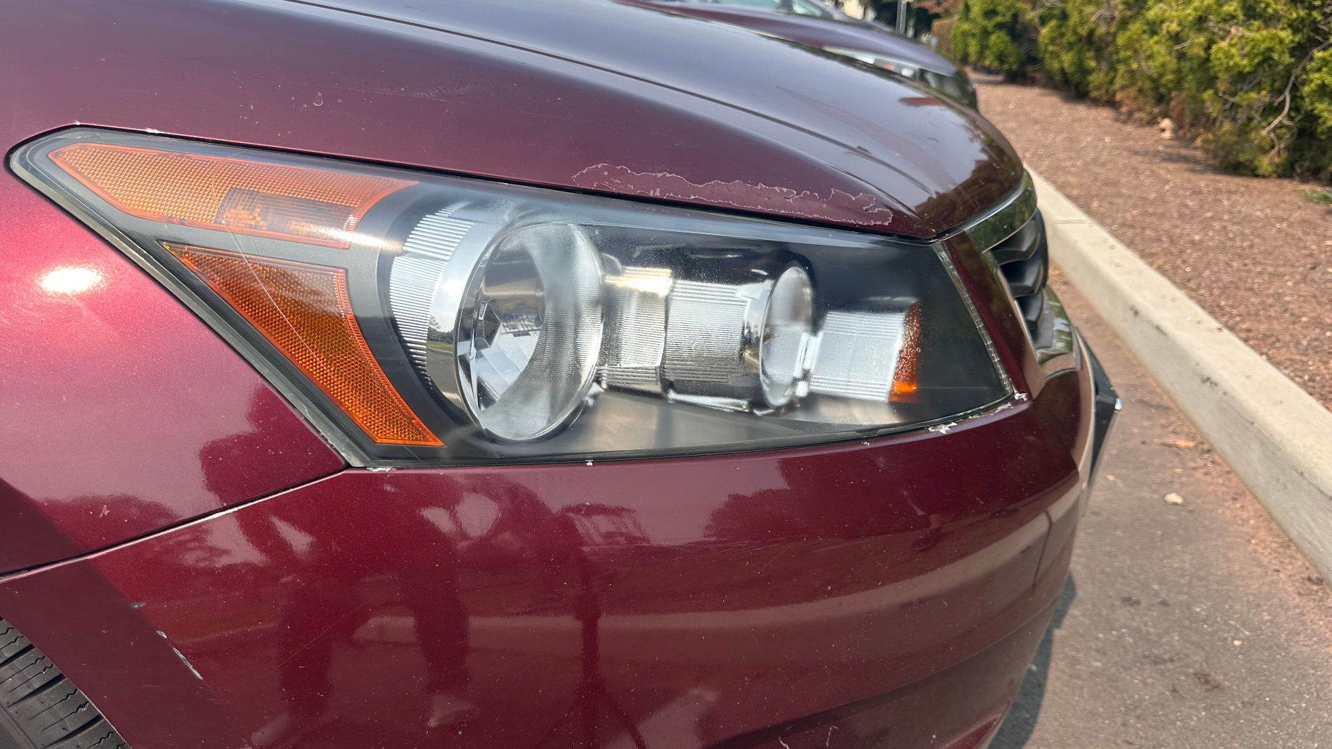 Honda Accord — NJ Customer after restoration